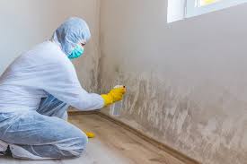 Best Asbestos and Lead Testing During Mold Inspection in Bridgewater, VA